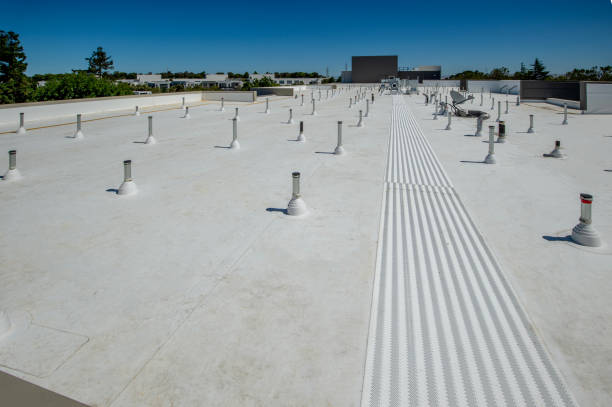 Best Roof Maintenance and Cleaning  in Lemoore, CA